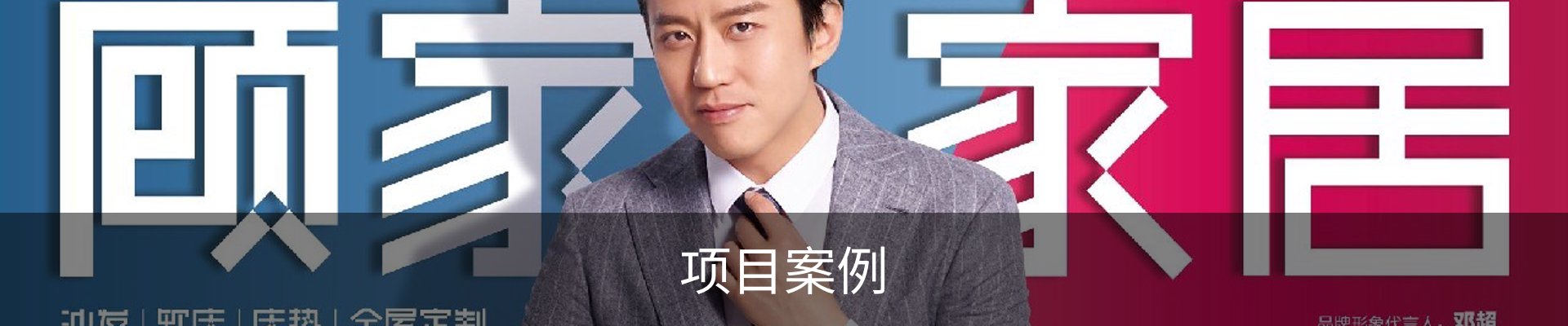 项目案例
